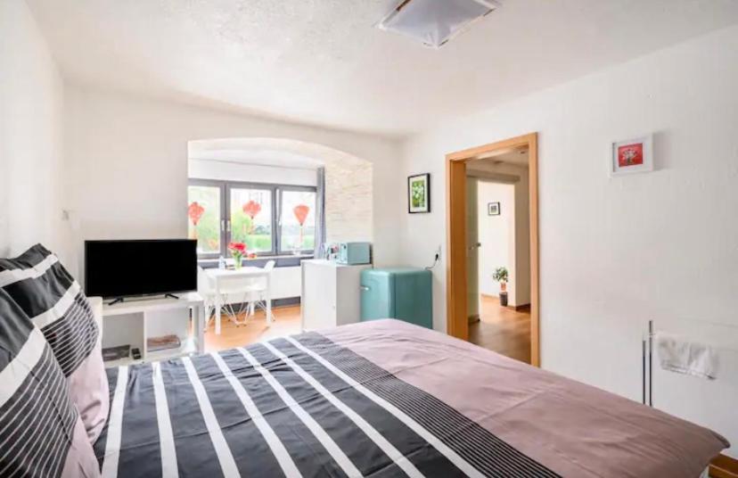 Appartement Guenstiges Gruenes Ferienzimmer Mit Separater Moderner Dusche Lörrach