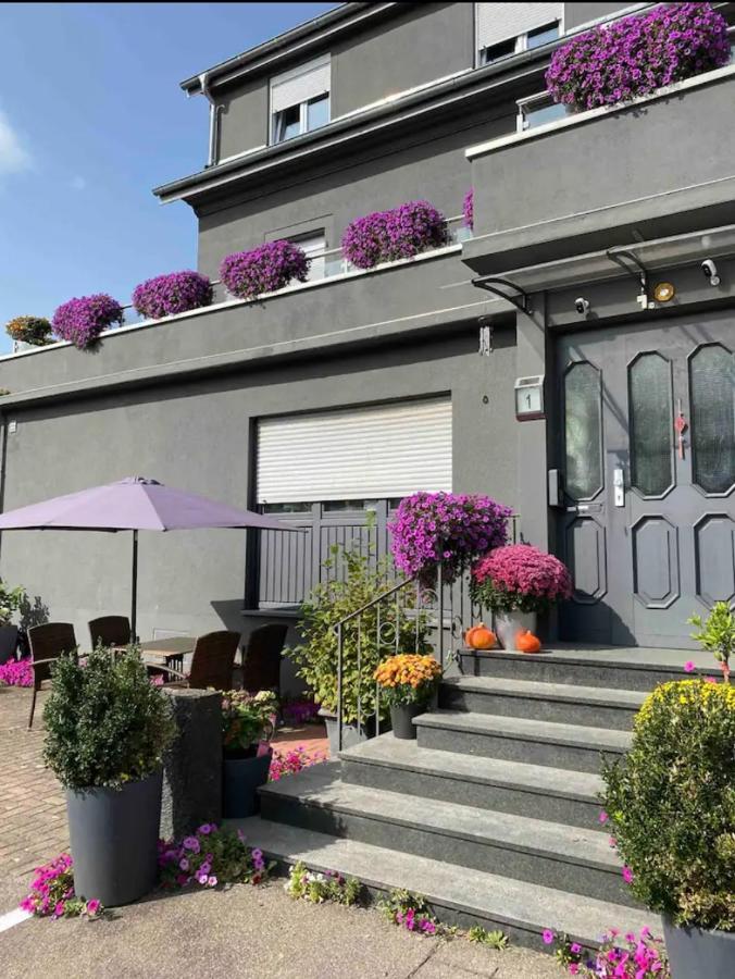 Guenstiges Gruenes Ferienzimmer Mit Separater Moderner Dusche Apartment Lörrach