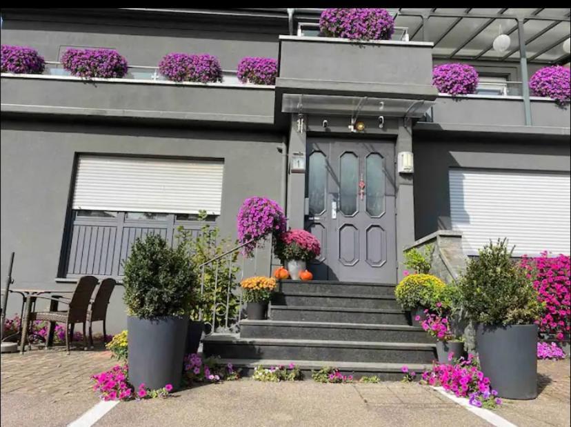 Guenstiges Gruenes Ferienzimmer Mit Separater Moderner Dusche Appartement