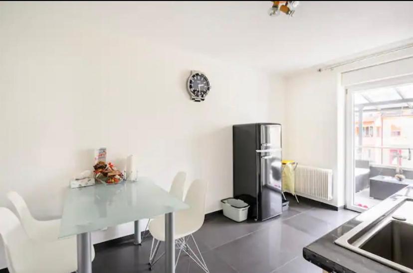 Apartment Guenstiges Gruenes Ferienzimmer Mit Separater Moderner Dusche Lörrach