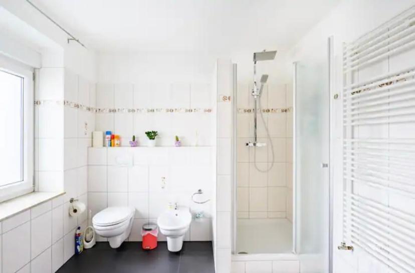 Guenstiges Gruenes Ferienzimmer Mit Separater Moderner Dusche Apartment Lörrach